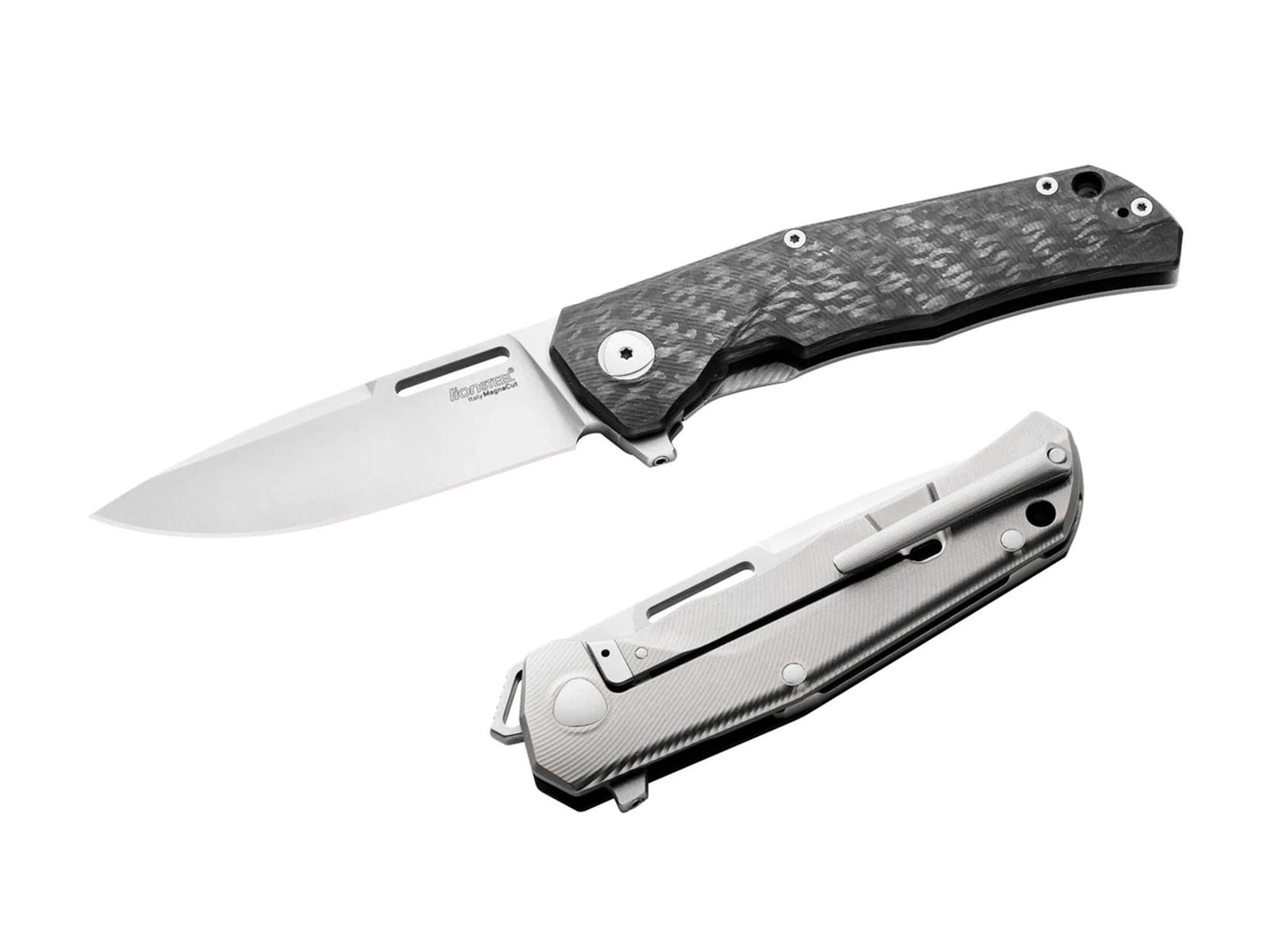 LionSteel Q4ttro Ti CF
