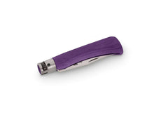 Old Bear Full Color M Purple