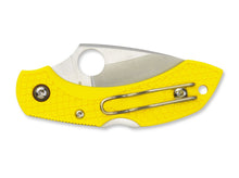 Spyderco Dragonfly 2 Salt Serrated