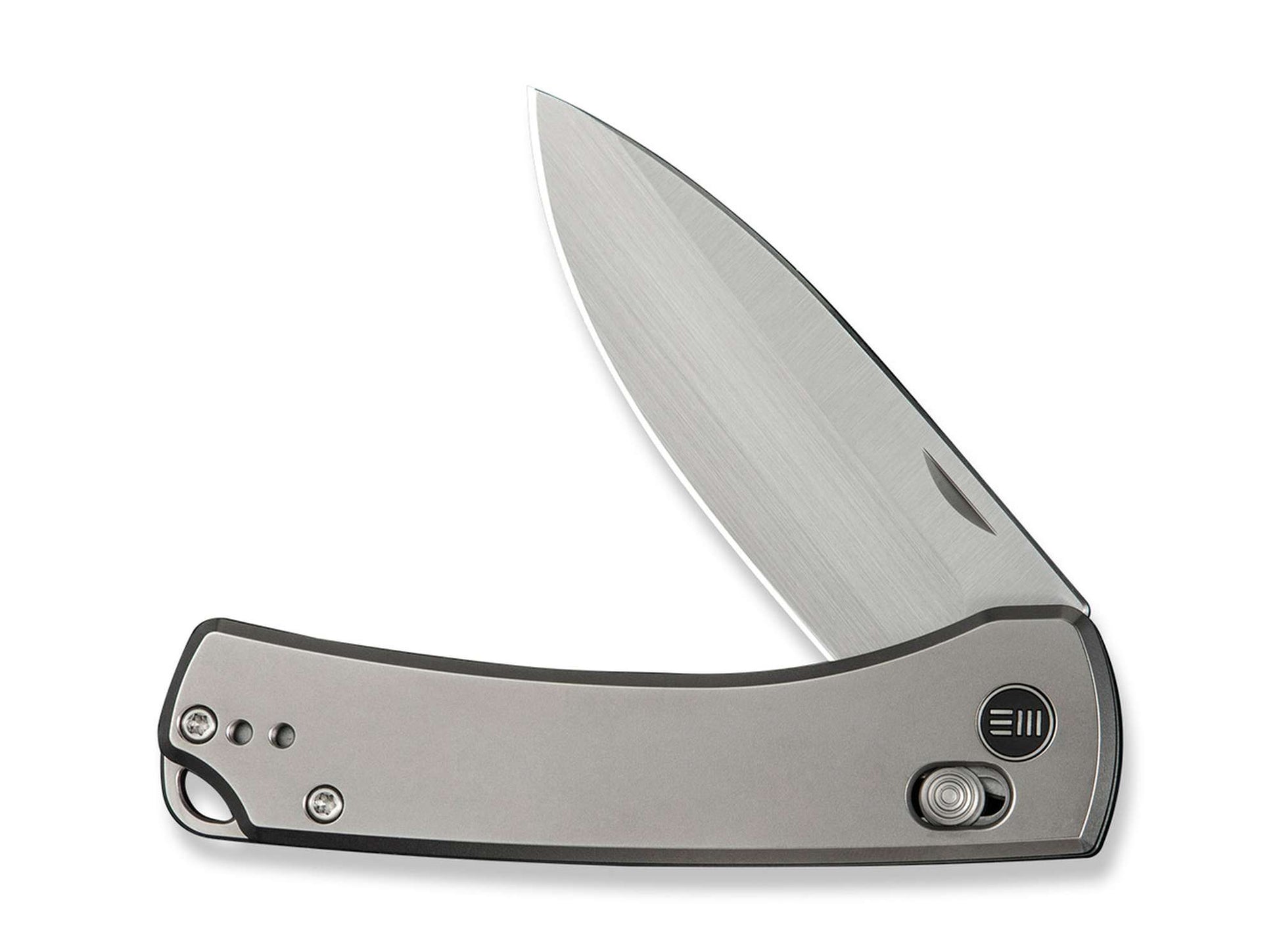 WE Knife Nightblade 20CV Titanium Gray