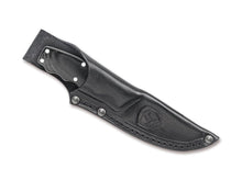 Condor Credo