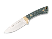 Muela Colibri COL-7G