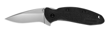 Kershaw Scallion