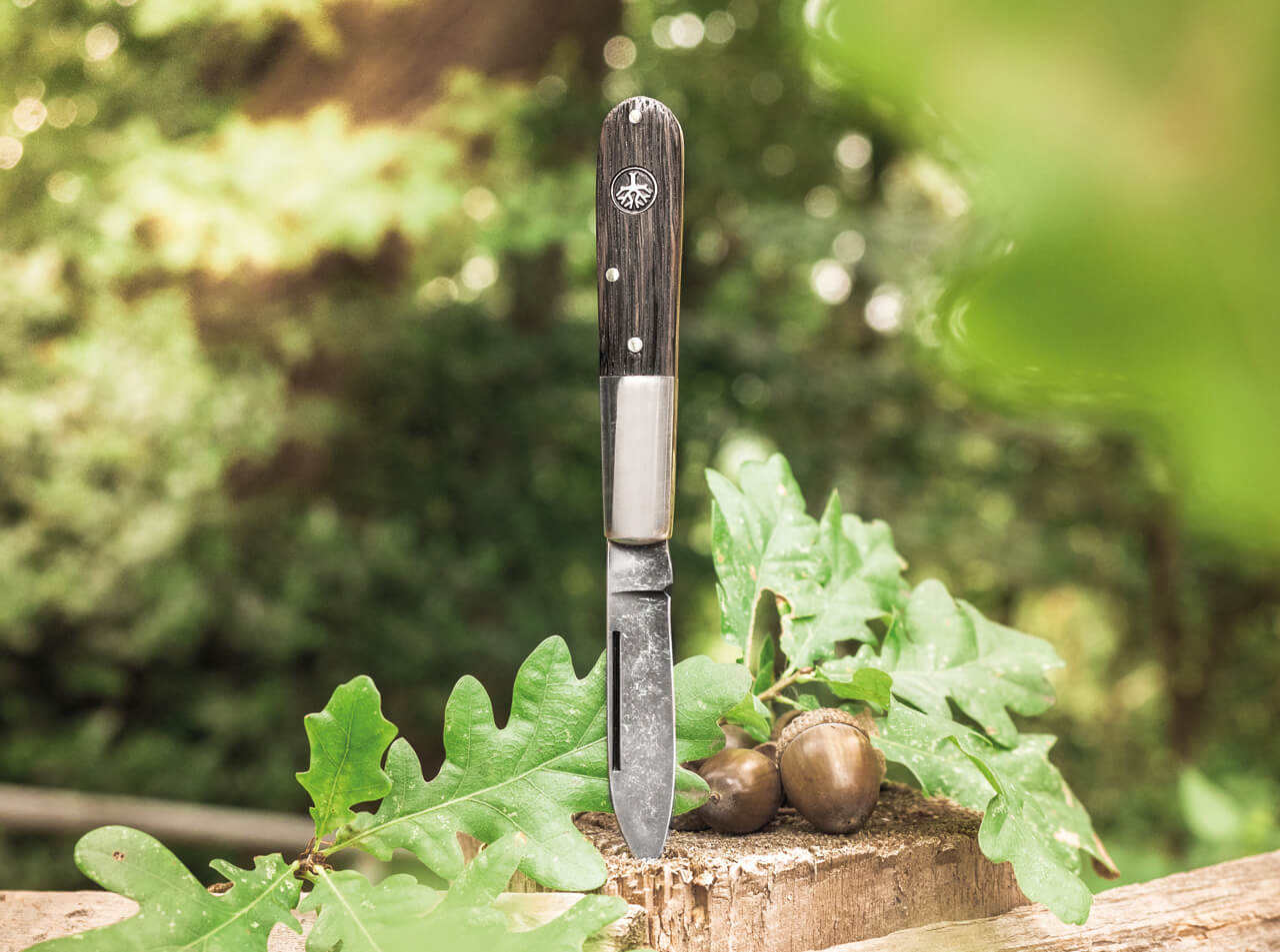 Böker Manufaktur Solingen Barlow Oak Tree