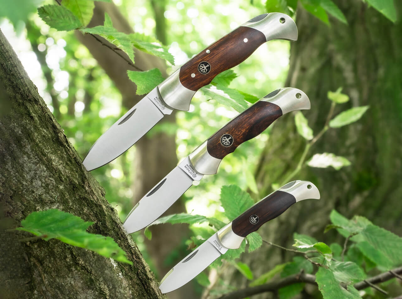 Böker Manufaktur Solingen Scout Spearpoint Desert Ironwood