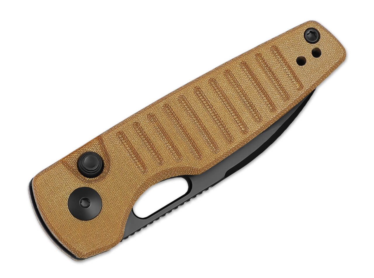 Kizer Parakeet Nitro-V Micarta Natural