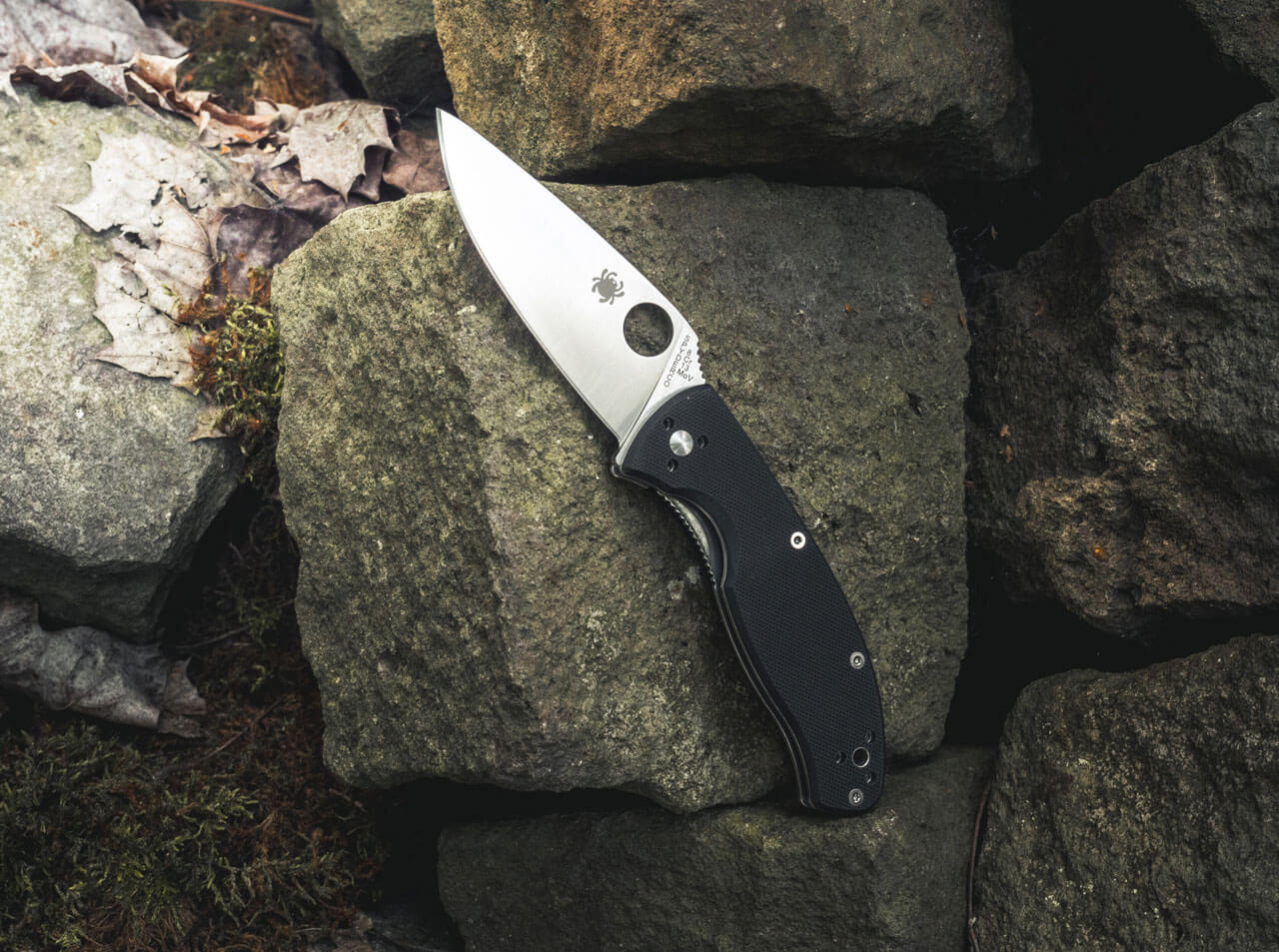 Spyderco Tenacious Satin Plain